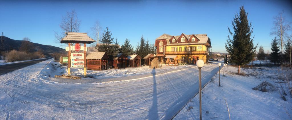 Guest House Dvir Pysanka 科索夫 外观 照片